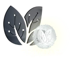 Transparent Sciential Logo